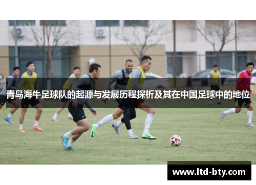青岛海牛足球队的起源与发展历程探析及其在中国足球中的地位